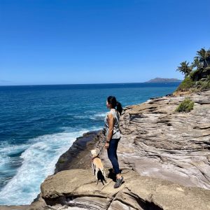 dog friendly hikes in hawaii spitting cave oahu