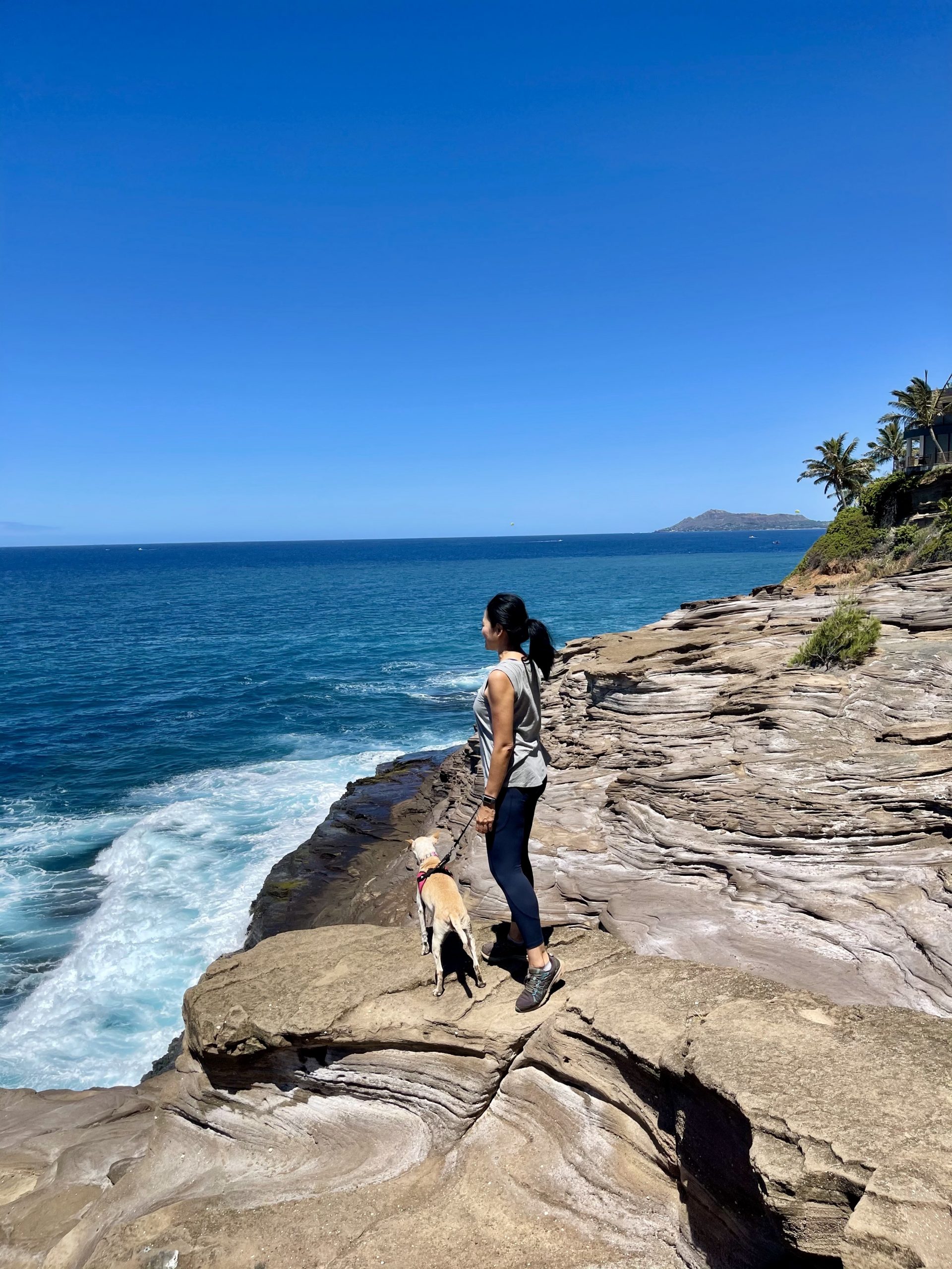dog friendly hikes in hawaii spitting cave oahu