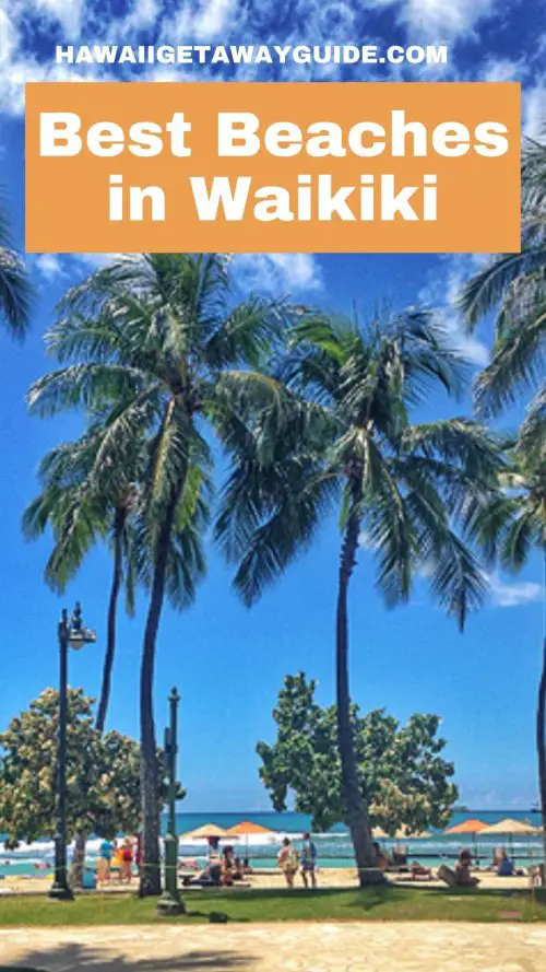 6 Best Beaches in Waikiki