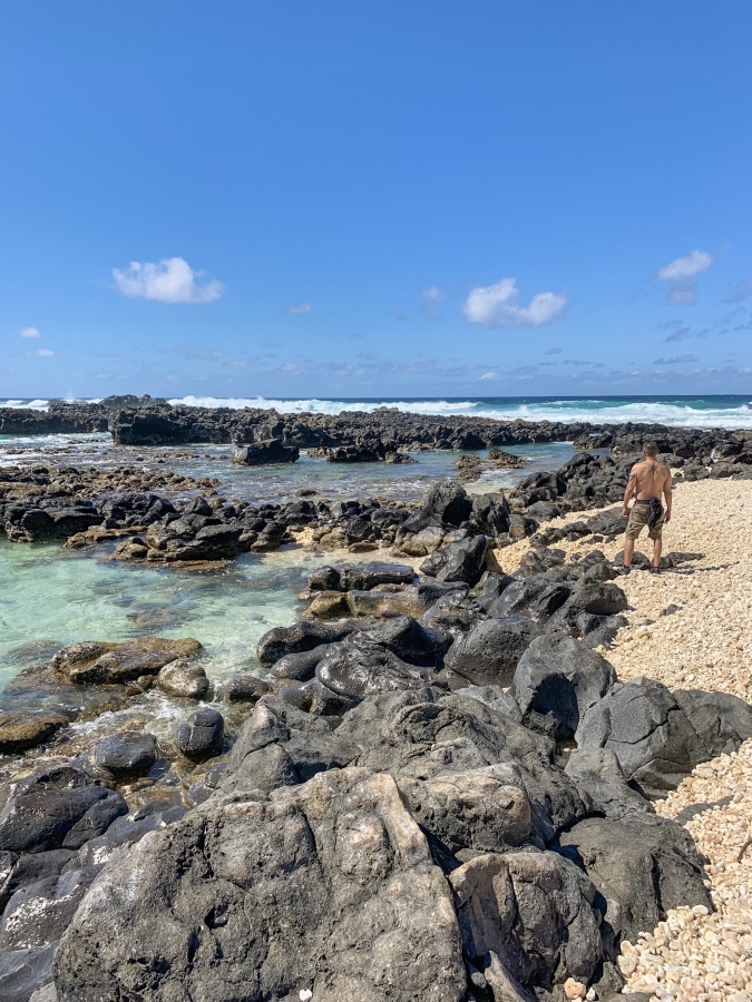 kaena point oahu best hikes