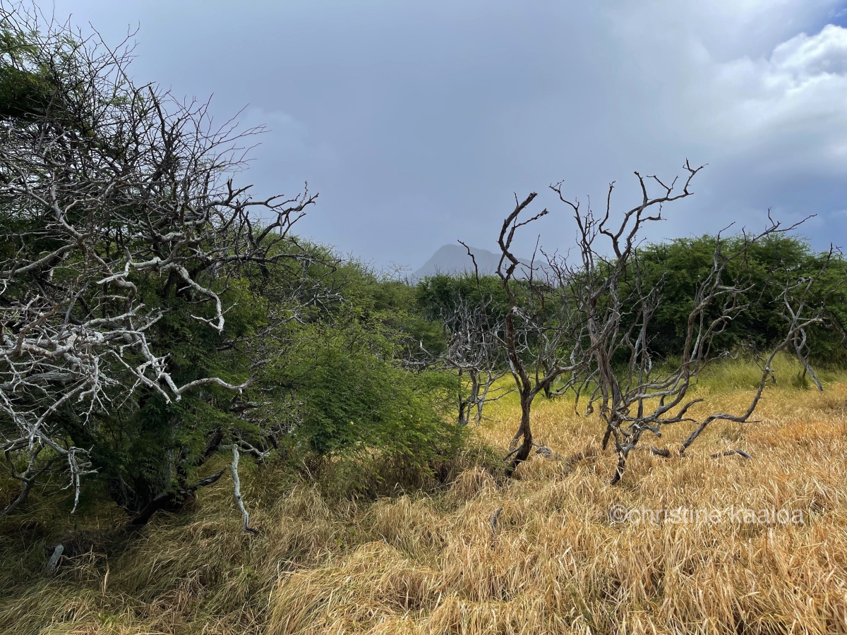 hanauma bay hike crater terrain