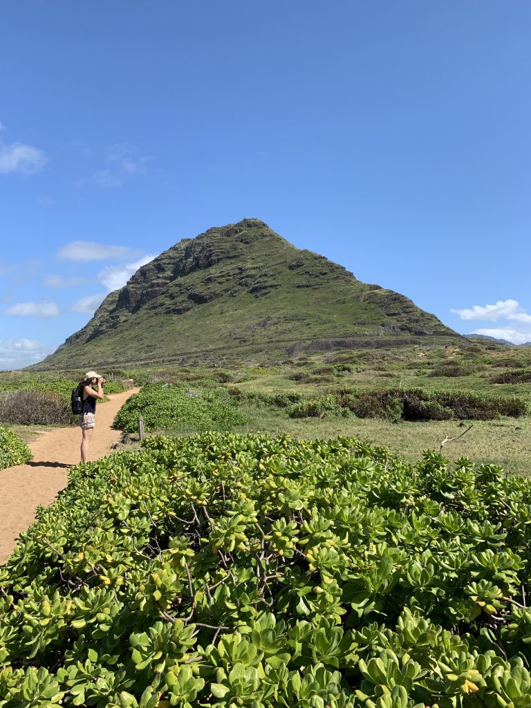 kaena point bird sanctuary