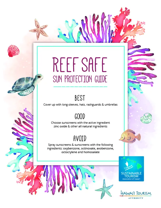 Reef Safe Sunscreen Hawaii Guide 10 Best Sunscreen for Hawaii
