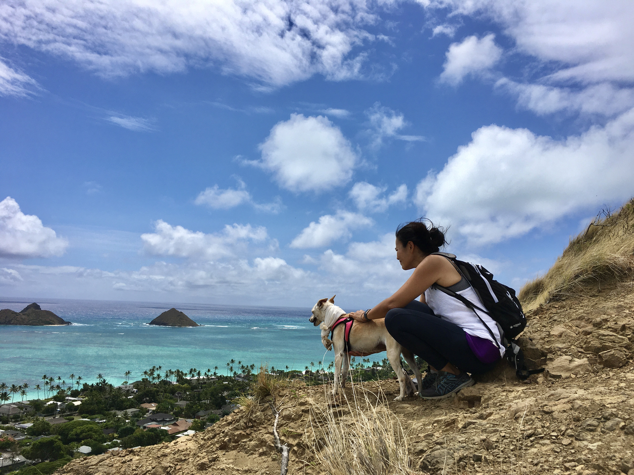 Lanikai Pillbox Hike