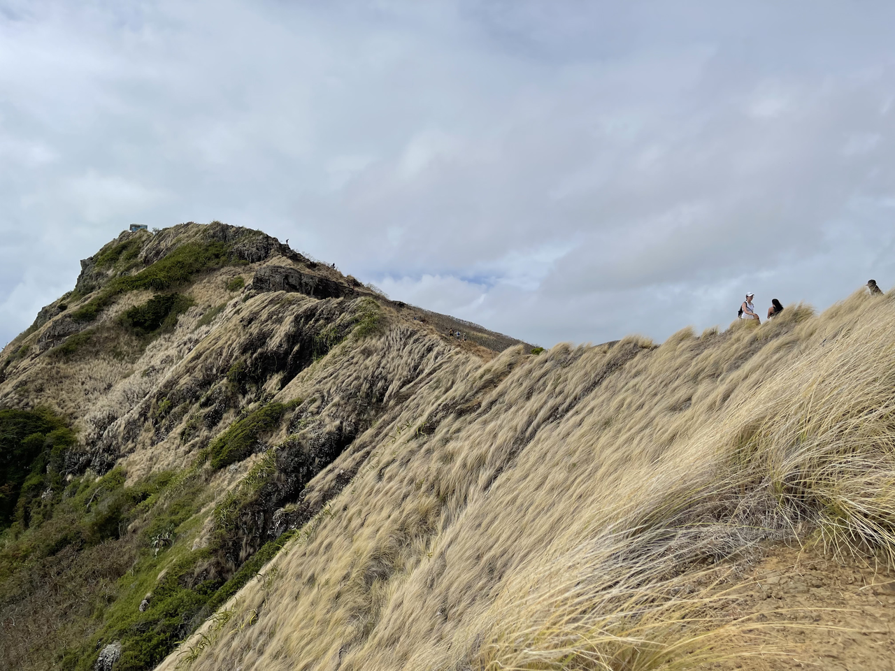 best oahu hikes hawaii