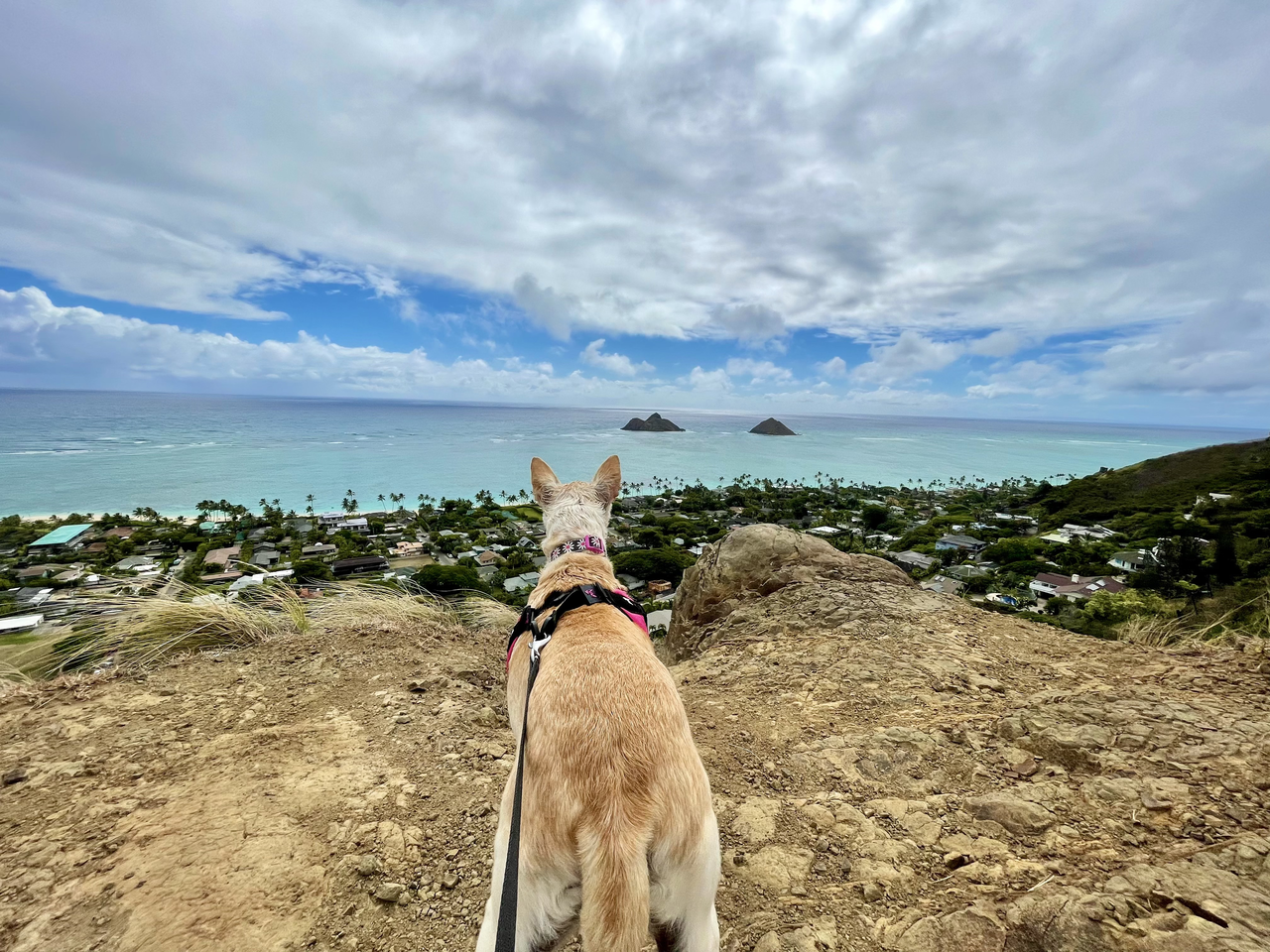 best oahu hikes hawaii