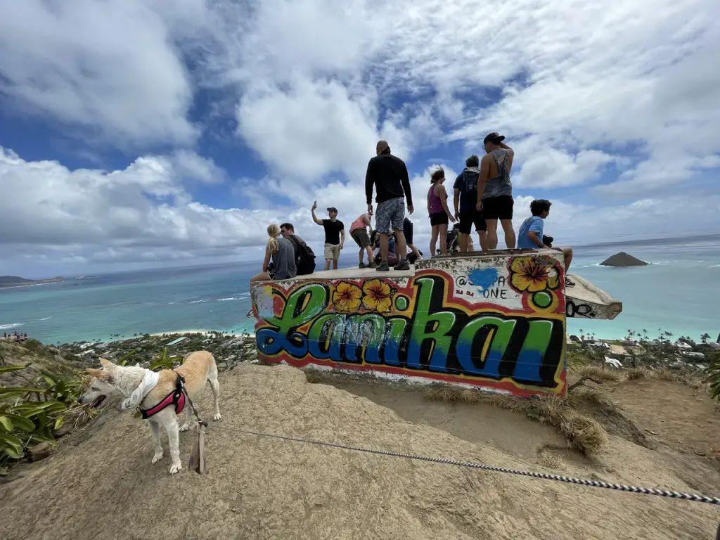 Lanikai Pillbox Hike 2023 What you Need to Know Hawaii Getaway Guide