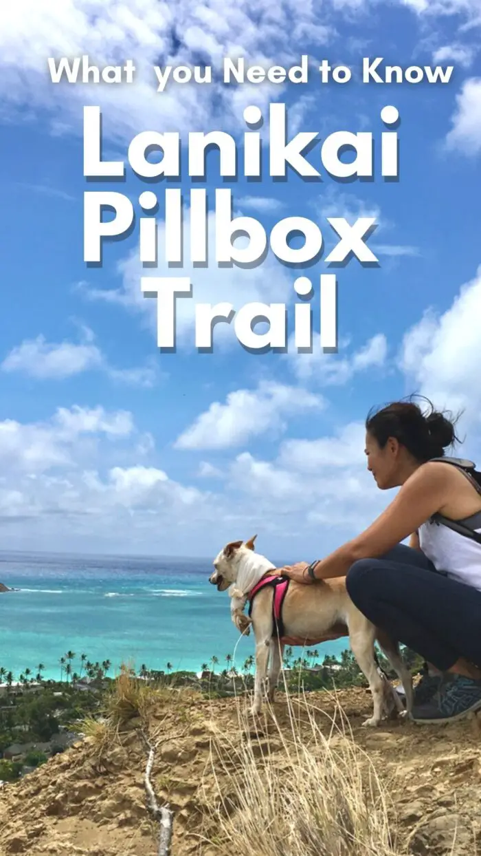 lanikai pillbox hike everything you need to know