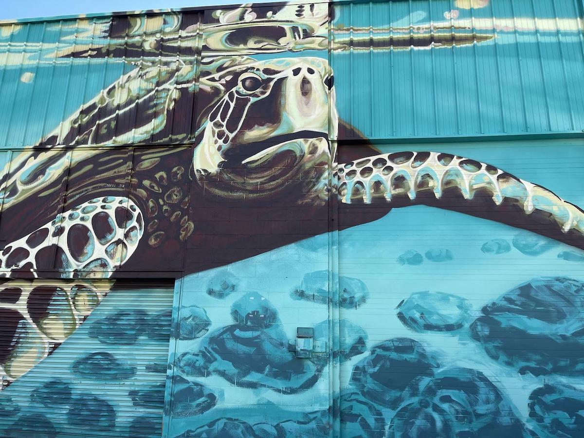 Kakaako Murals Hawaii_hawaiian green turtles endangered