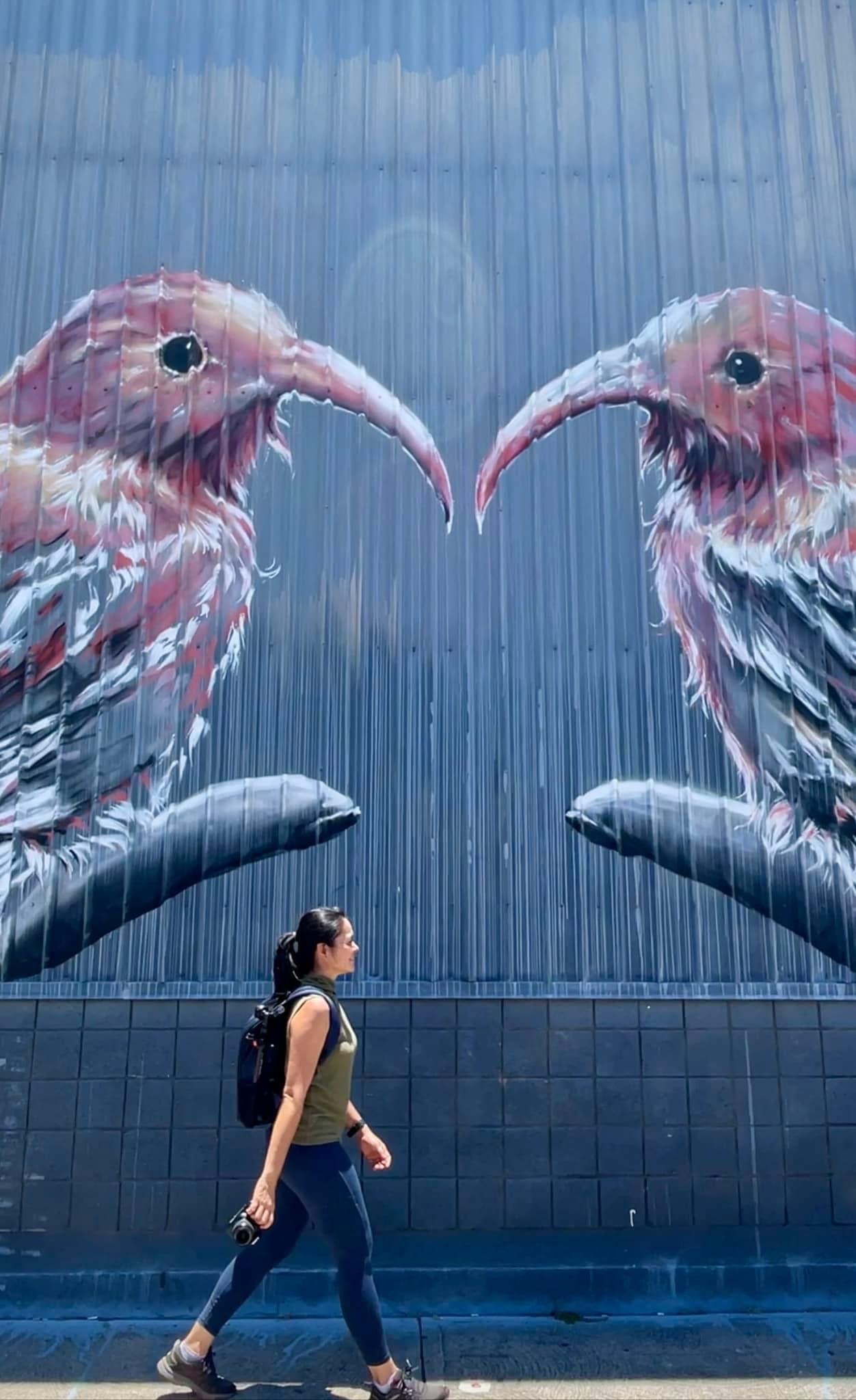 hawaii kakaako murals birds